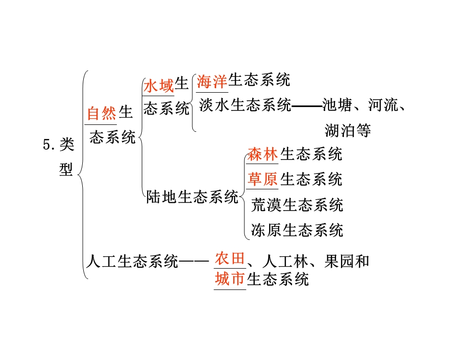 生态系统的结构复习.ppt_第2页