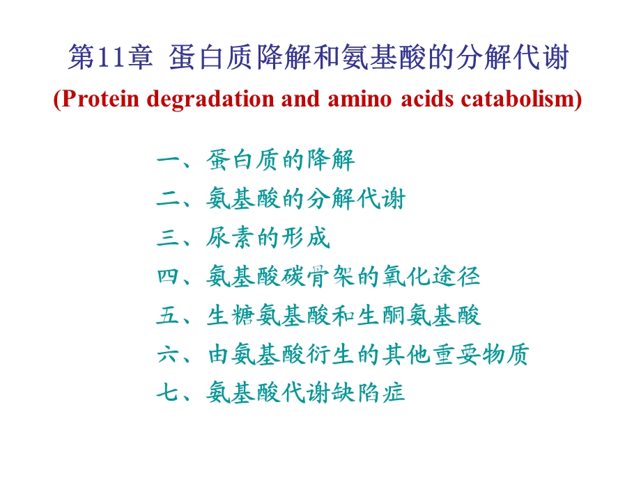 蛋白质代谢1720.ppt_第1页