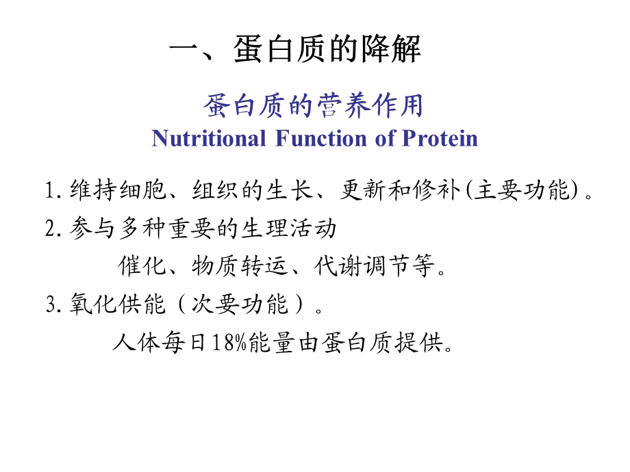 蛋白质代谢1720.ppt_第2页