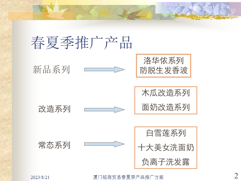 着名化妆品公司产品推广策划.ppt_第2页