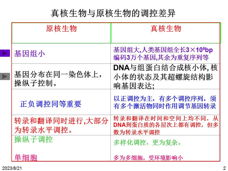 真核生物基因表达的调控.ppt_第2页