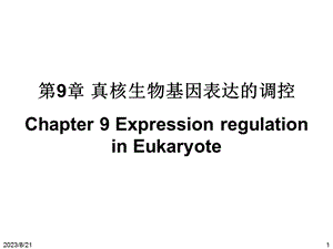 真核生物基因表达的调控.ppt