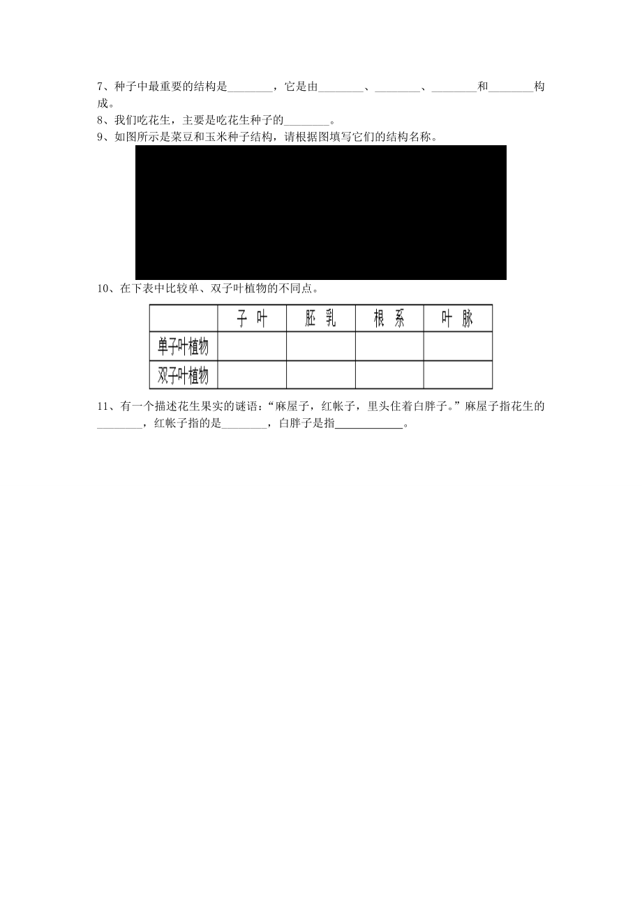 第二节种子植物导学案肖鹏.doc_第3页