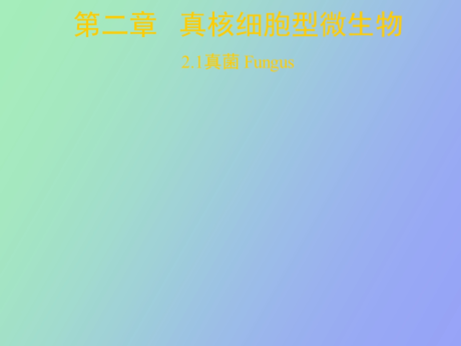 真核细胞型微生物.ppt_第1页