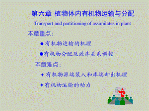 物质运输分配.ppt