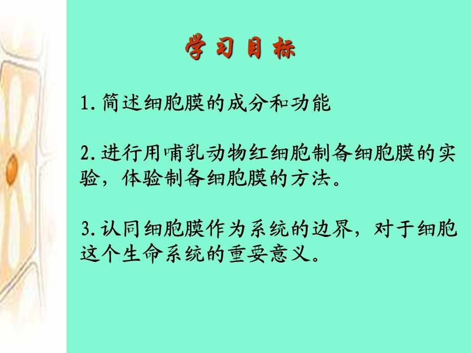 细胞膜的流动性.ppt_第2页