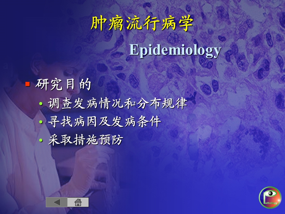 肿瘤流行病学和肿瘤预防.ppt_第3页