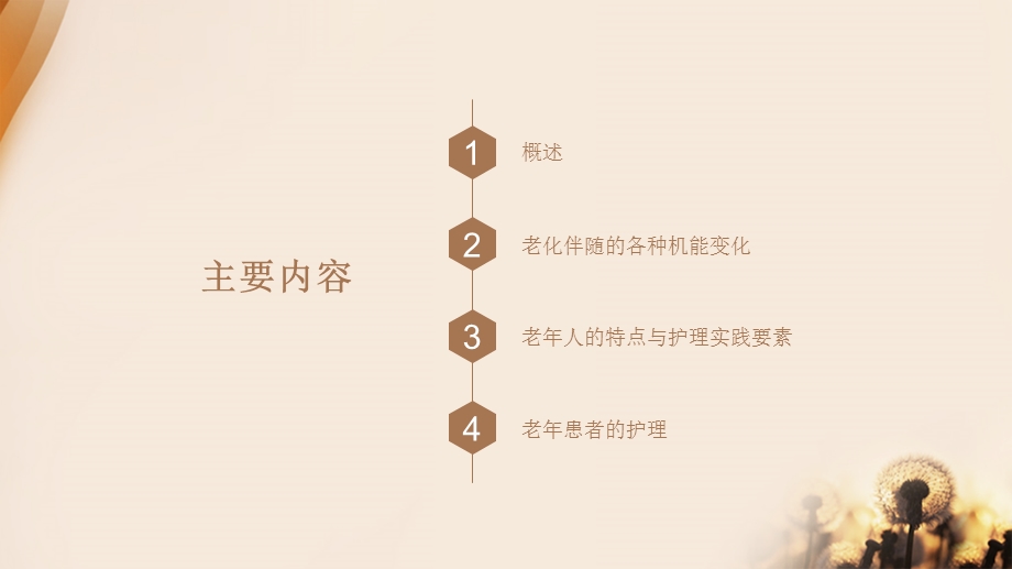 老年患者的特点及护理.ppt_第2页