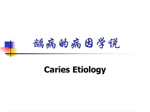 龋病的病因学说课件.ppt