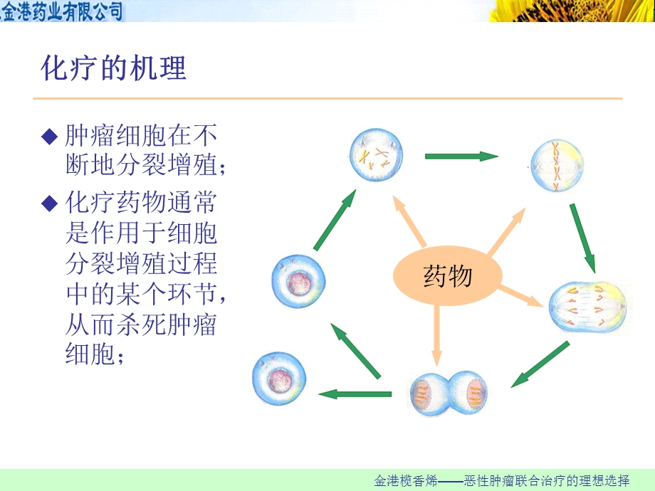 肿瘤化疗常见不良反应与处理.ppt_第2页