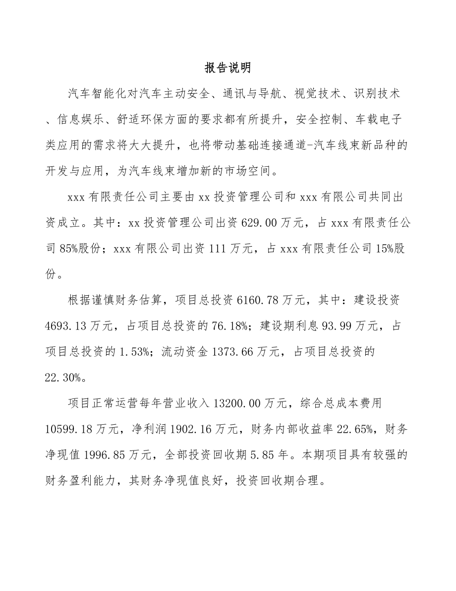 商丘关于成立汽车线束公司可行性研究报告.docx_第2页