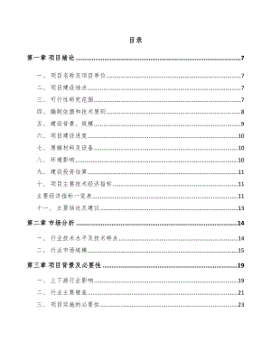 嘉兴金刚石线项目可行性研究报告.docx