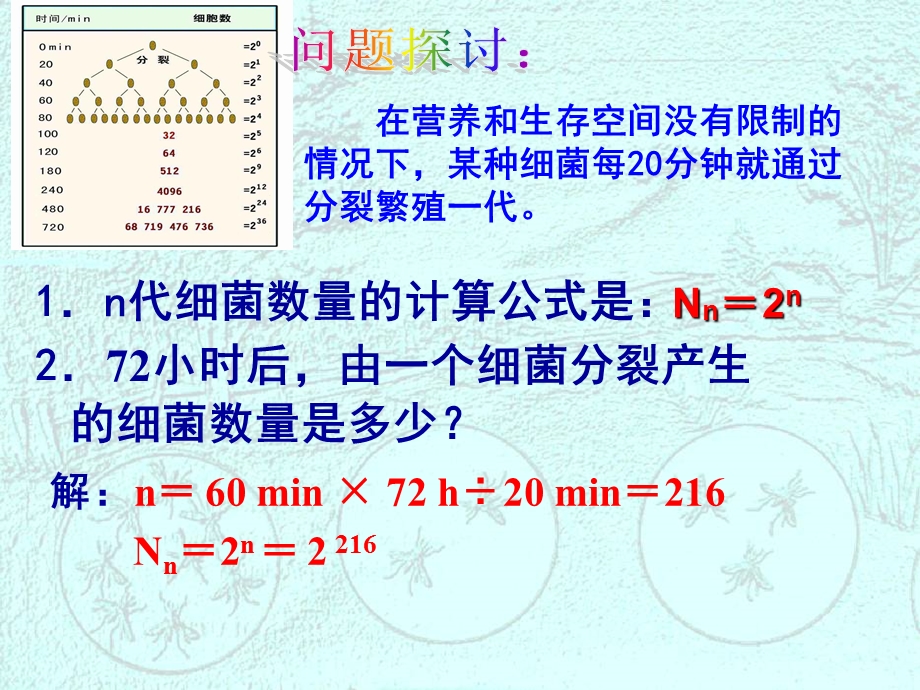 种群数量的变化上课用.ppt_第3页