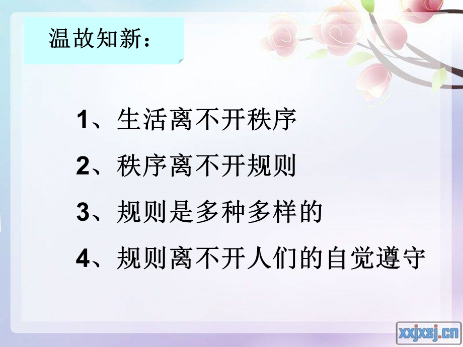 自觉维护秩序.ppt_第1页