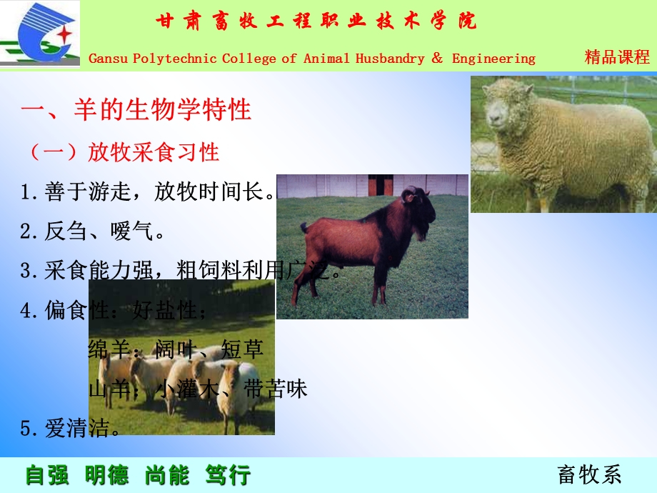 羊的生物学特性和消化特点.ppt_第2页