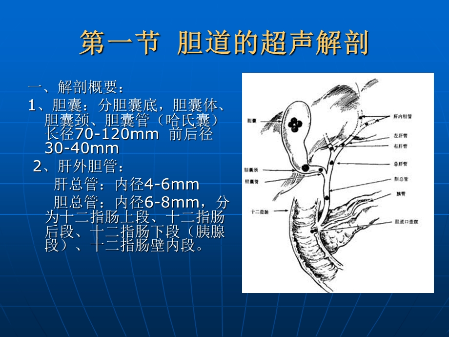 胆囊疾病超声诊断.ppt_第2页