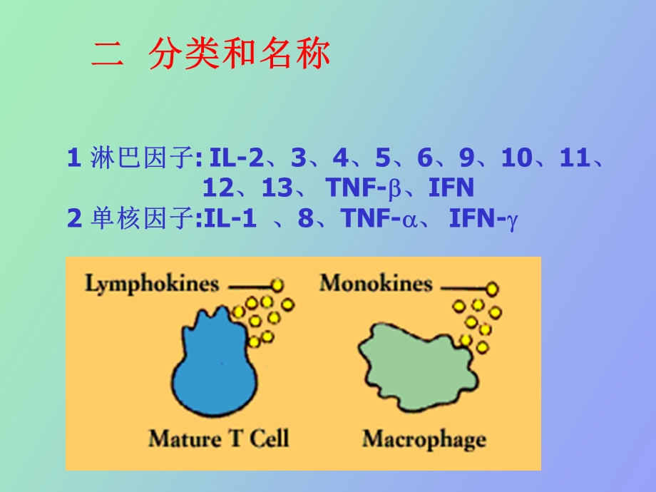 疫学细胞因子.ppt_第3页