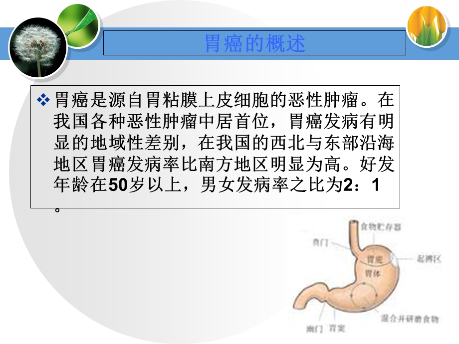 胃癌的护理教学查房.ppt_第2页