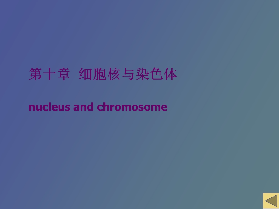 细胞核nucleus与染色体.ppt_第1页