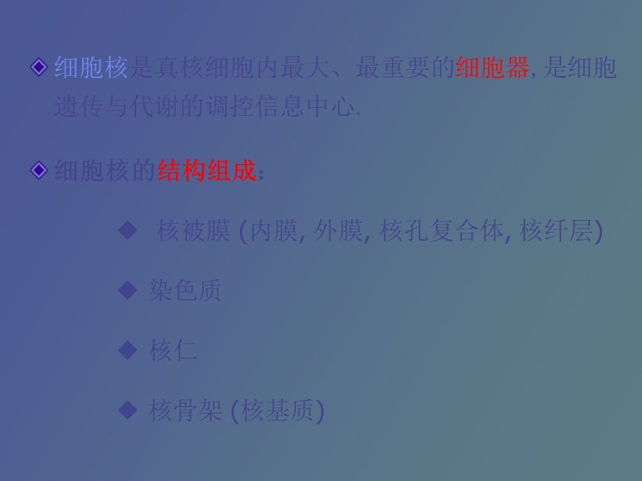 细胞核nucleus与染色体.ppt_第2页