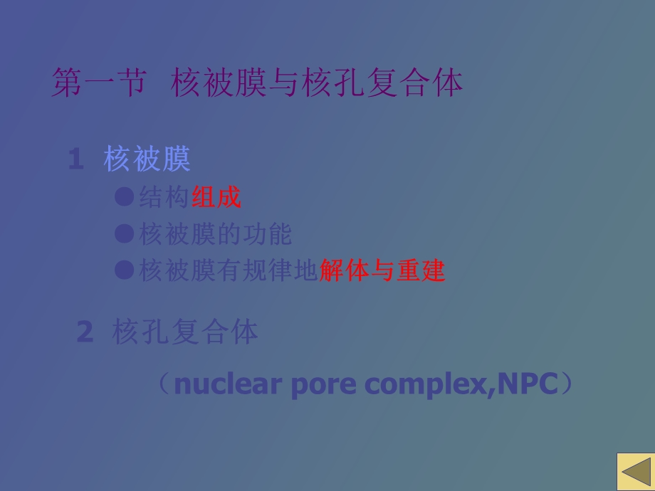 细胞核nucleus与染色体.ppt_第3页