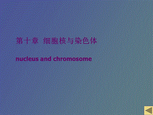 细胞核nucleus与染色体.ppt