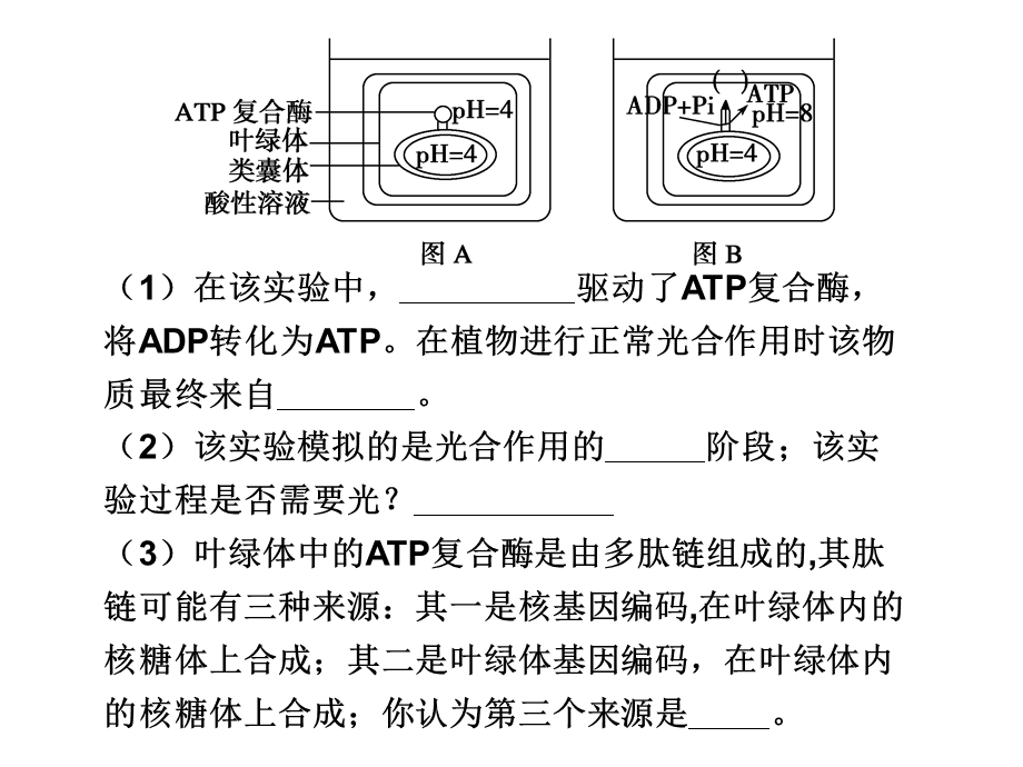 题型一代谢综合应用.ppt_第2页