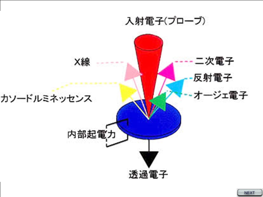 现代分析测试技术SE.ppt_第3页