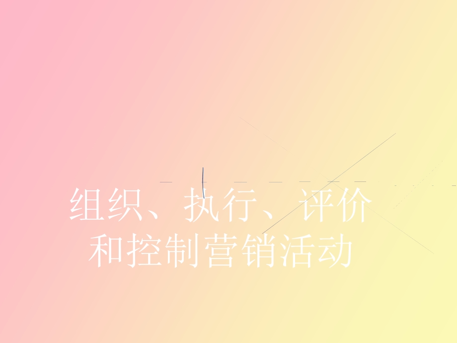 组织执行评价.ppt_第1页