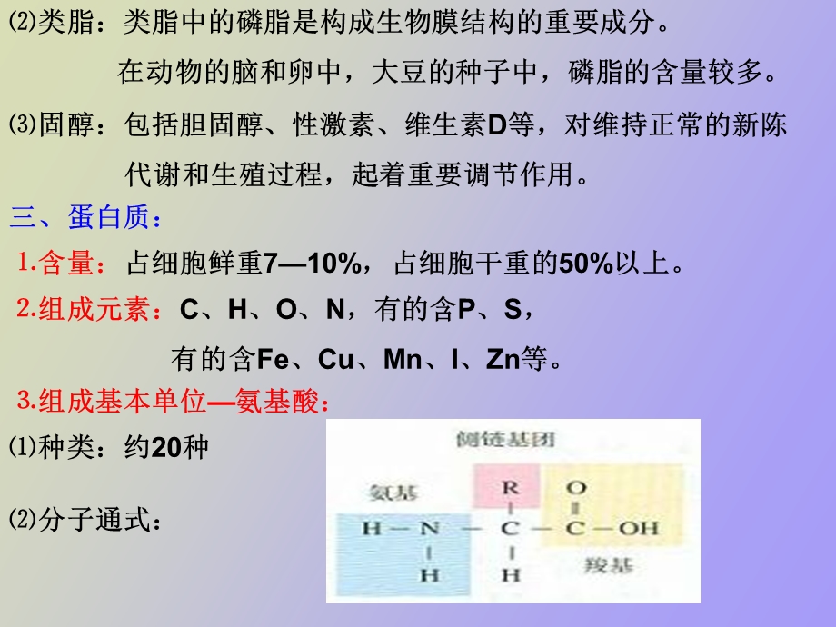 组成生物体的有机物.ppt_第3页