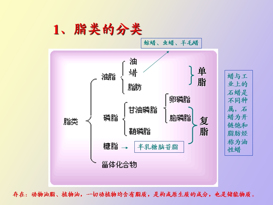 脂类和生物膜.ppt_第3页