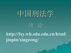 中国刑法学.ppt