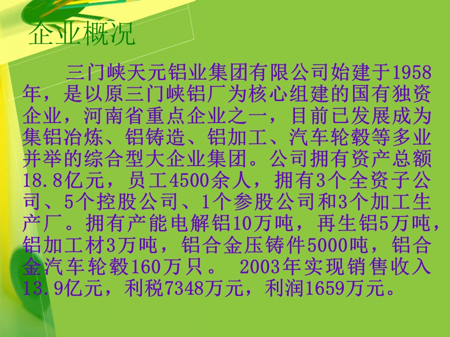 创造领先优势实现良好愿景.ppt_第3页