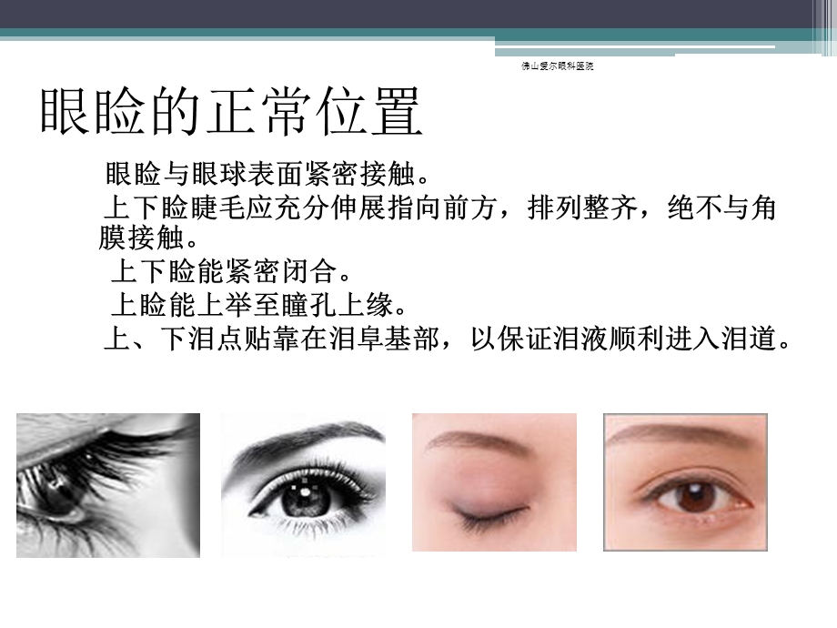 眼睑位置、功能和先天异常.ppt_第2页