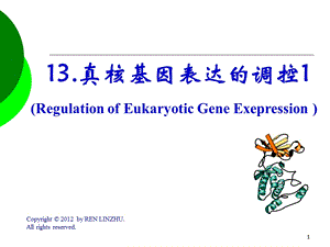 真核基因表达的调控.ppt