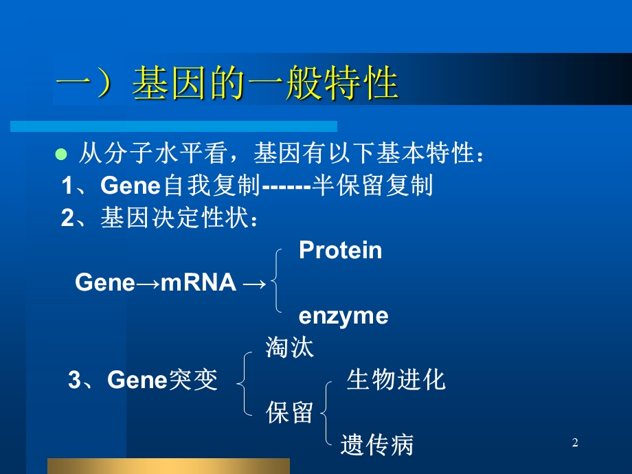 真核生物基因结构及功能.ppt_第2页