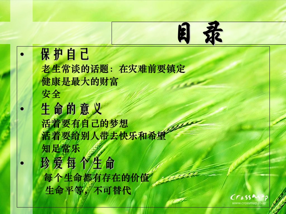 珍爱生命主题班会-PPT课件.ppt_第3页