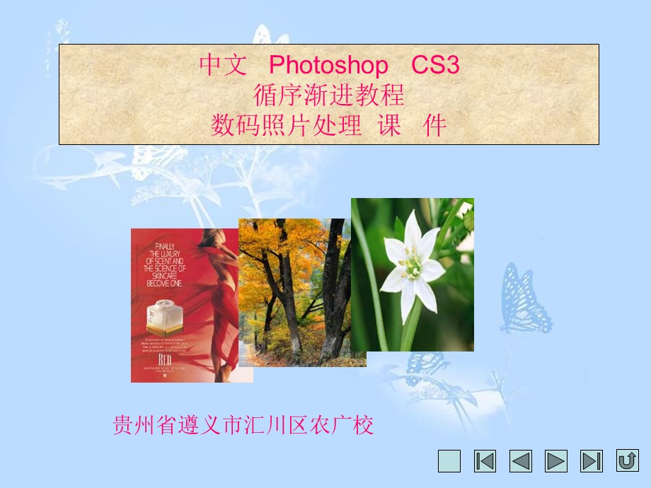 中文PhotoshopCS循序渐进教程数码照片处理.ppt_第1页