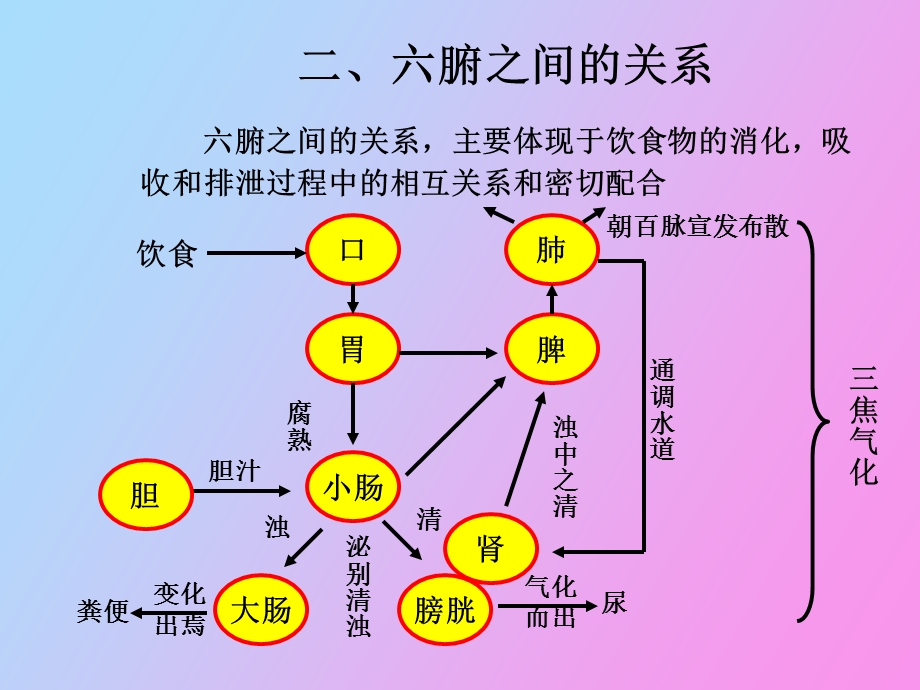 脏腑之间的关系二.ppt_第2页