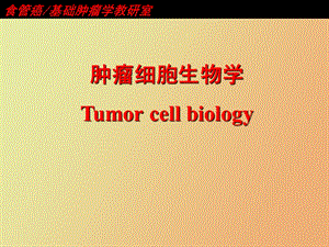 肿瘤细胞生物学.ppt