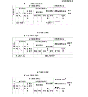 《岩石观察记录表》.docx