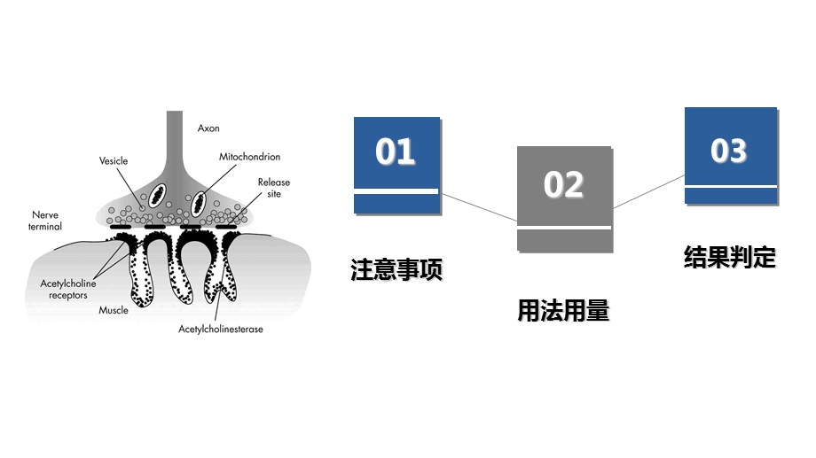 症肌无力新斯的明实验的临床评估.ppt_第3页