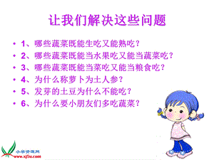 苏教版小学科学六年级上册《变色花》课件.ppt