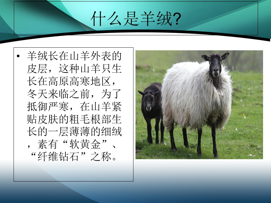 羊绒羊毛的基本售卖学习.ppt_第3页