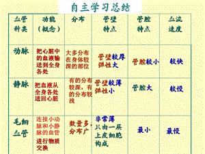 物质运输的器官-心脏.ppt