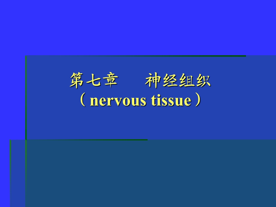 组织学与胚胎学神经.ppt_第2页