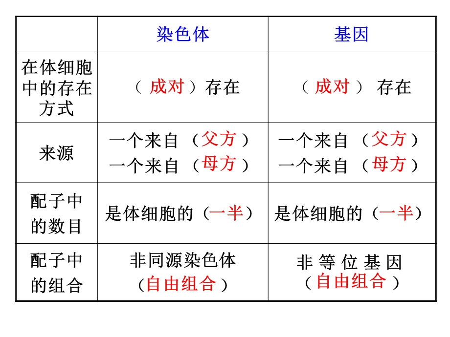 简版基因在染色体上和伴性遗传.ppt_第3页