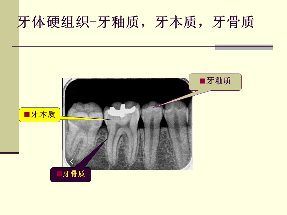 口腔影像学验考试复习ppt课件.ppt_第1页