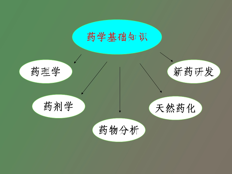 药学基础知识概述.ppt_第3页