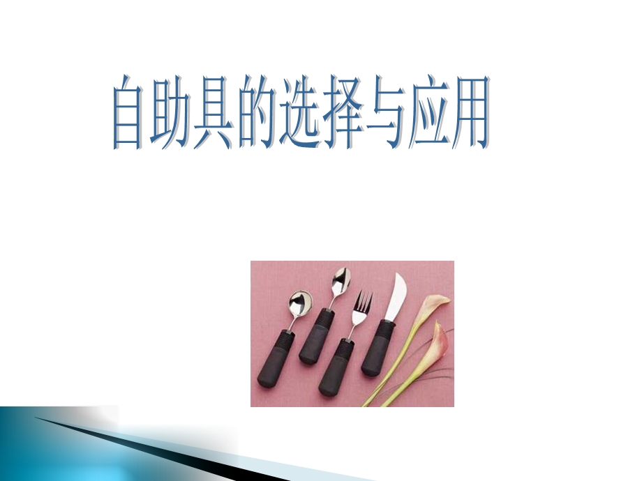 移动的辅助器具和自助器具.ppt_第1页